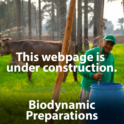 Biodynamic-Preparations